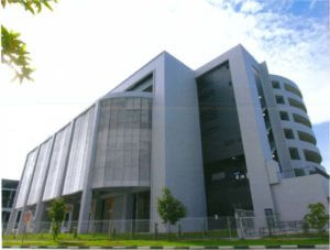 Completed Project Image 13